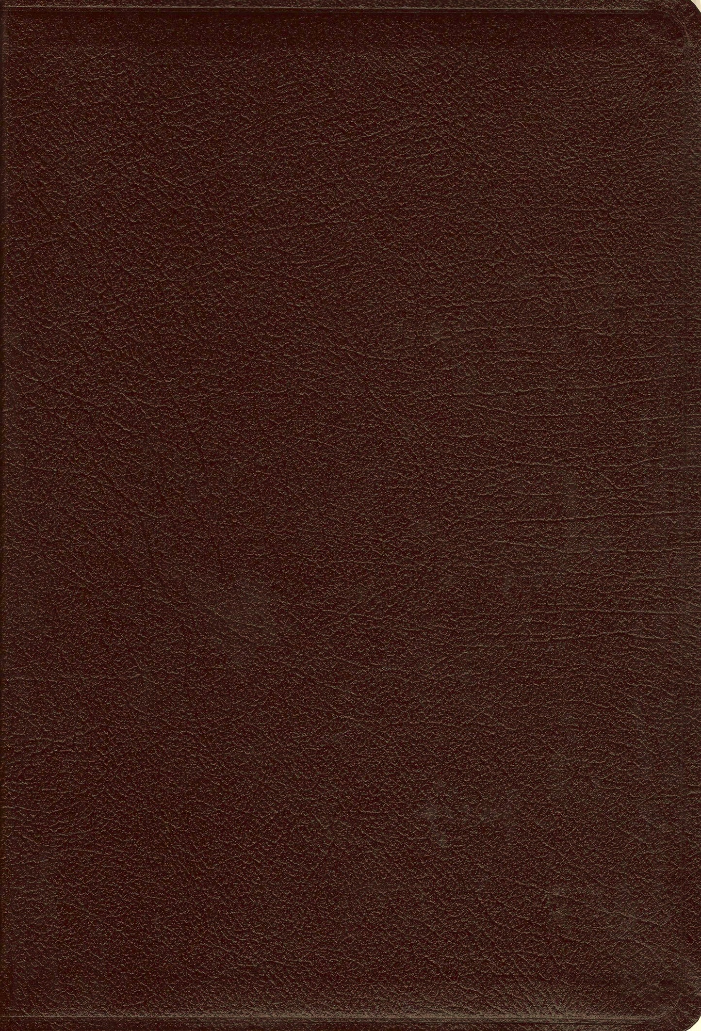 Zondervan Amplified Holy Bible, Large Print - Bonded Leather (Burgundy)