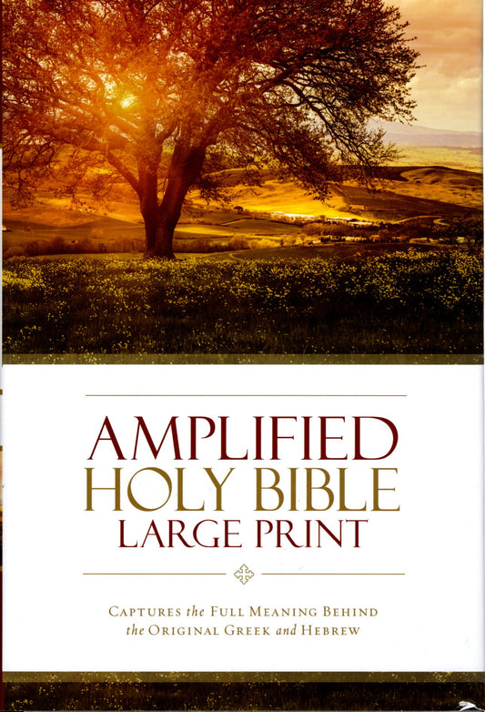 Zondervan Amplified Holy Bible, Large Print - Hardcover w/Dust Jacket
