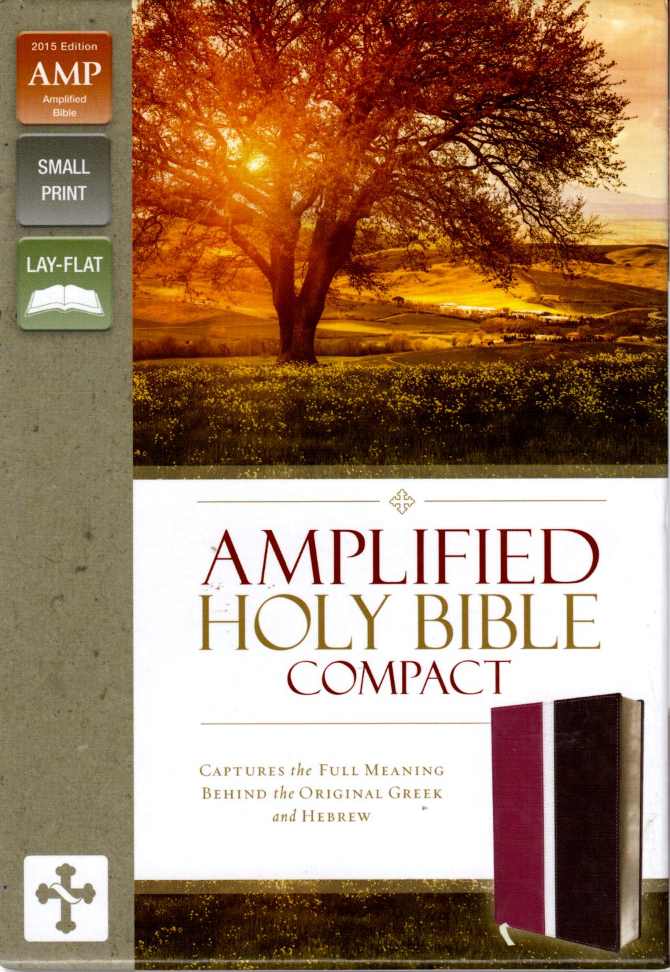 Zondervan Amplified Holy Bible, Compact - Leathersoft™ (Dark Orchid/Deep Plum)