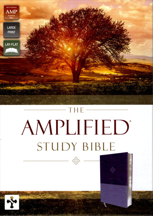 Zondervan Amplified Study Bible - Leathersoft™ (Purple)