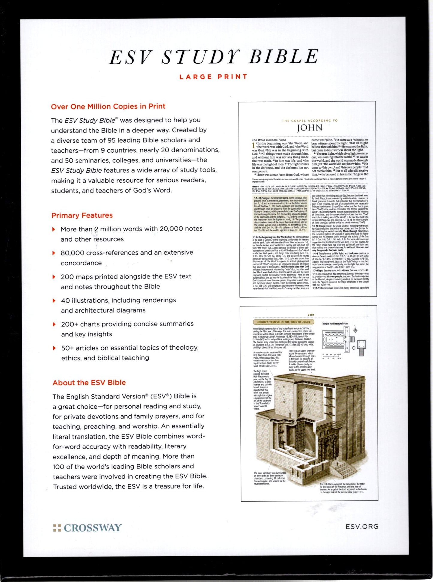 Crossway ESV Study Bible® Large Print - TruTone® Trellis Design (Mahogany)