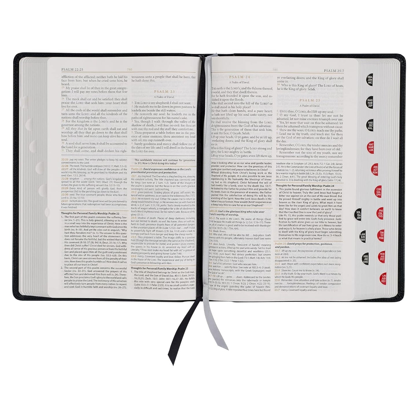 Christian Art Publishers KJV - Study Bible, Standard Edition - Thumb Indexed - Imitation Leather (Black)