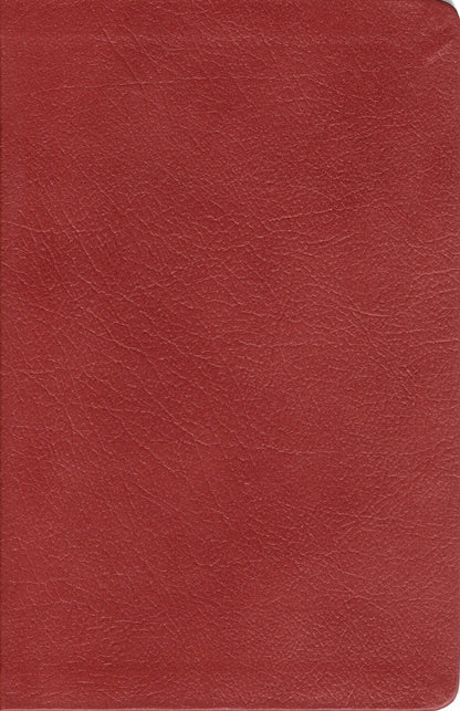 Stonehaven Press KJV 1917 Scofield Reference Edition Bible, Edited by Rev. C.I. Scofield, D.D. - Bonded Leather