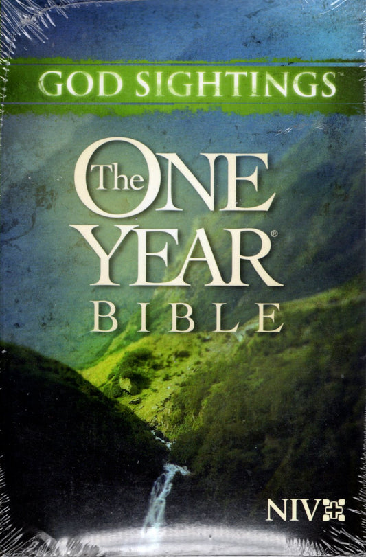 Tyndale Publishers NIV® - God Sightings™: The One Year® Bible - Paperback
