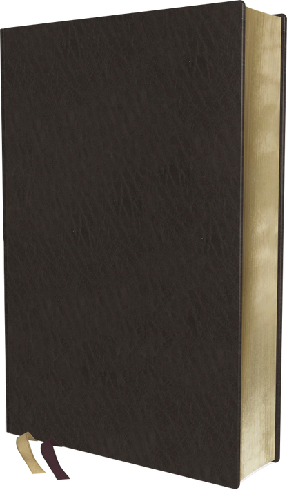 Zondervan NIV® Life Application Study Bible, Large Print, Third Edition - Bonded Leather (Burgundy)