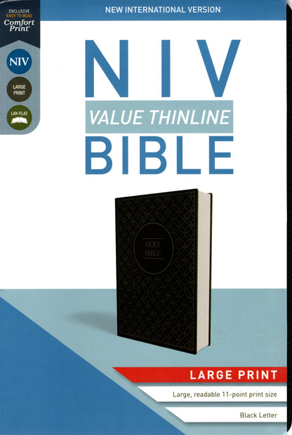 Zondervan NIV® Value Thinline Bible, Large Print - Leathersoft™ (Charcoal/Black)