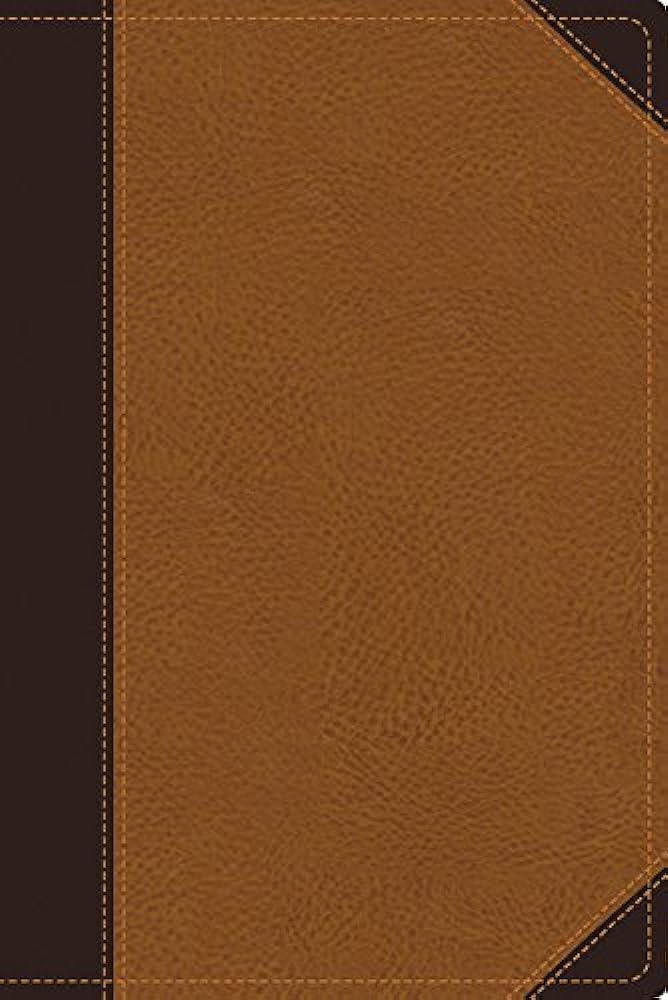 Zondervan NIV® Zondervan Study Bible - Italian Duo-Tone™ (Chocolate/Caramel)