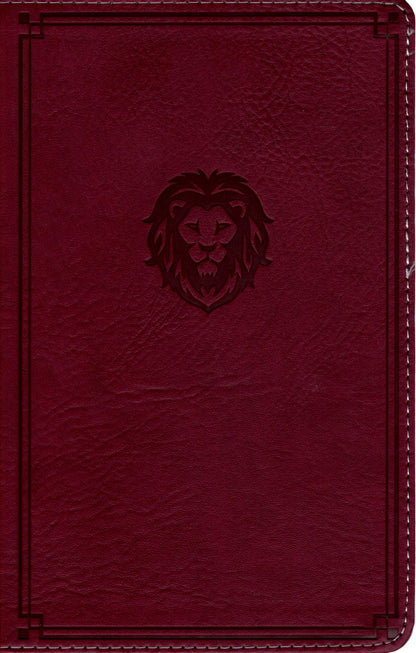 Thomas Nelson NKJV Thinline Bible Youth Edition - Leathersoft™ (Berry)