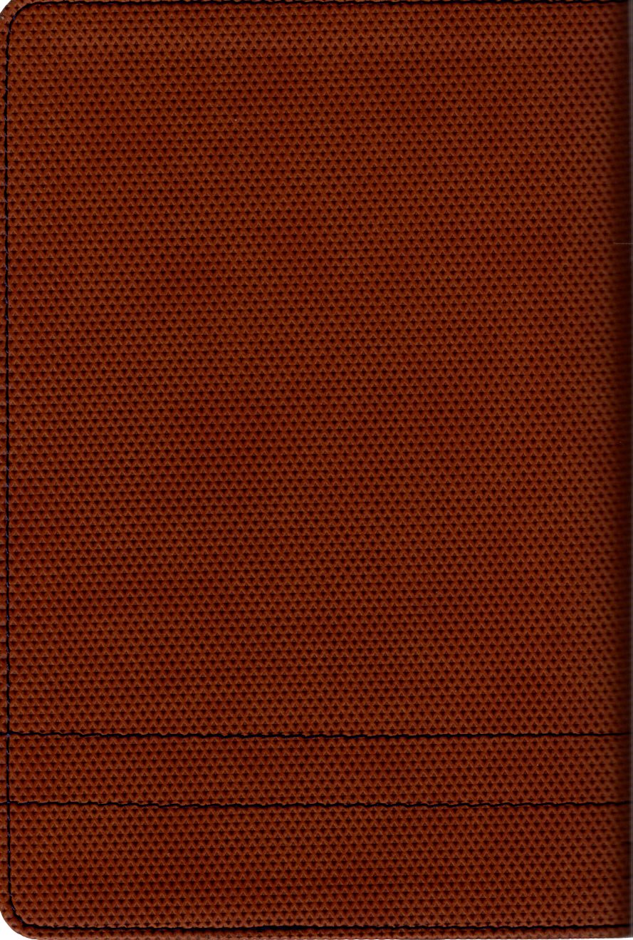 Tyndale NLT Personal Compact Bible - TuTone™ (Blue/Brown)