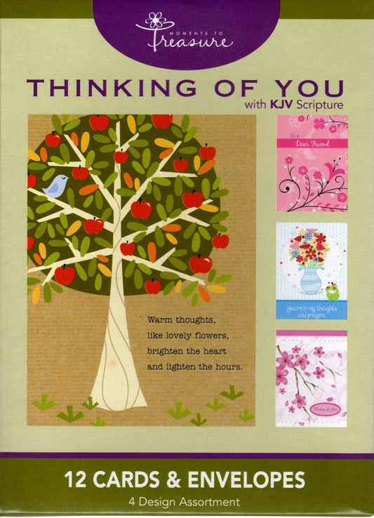 Thinking of You Boxed Cards w/KJV Scripture - Moments to Treasure by Papercraft